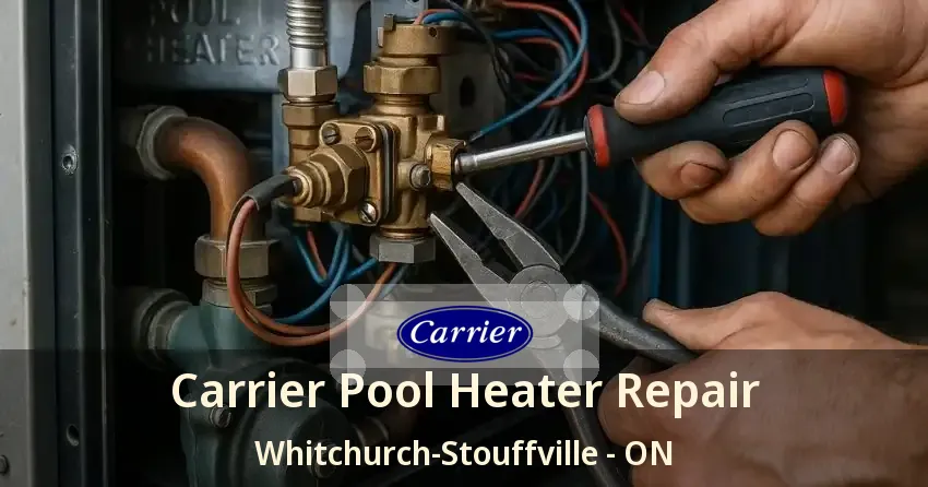 Carrier Pool Heater Repair Whitchurch-Stouffville - ON